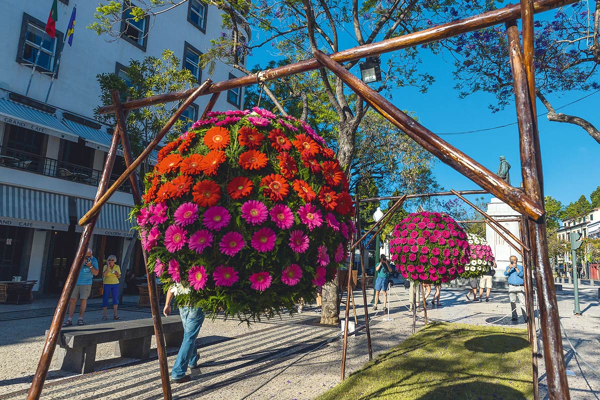 Blumenfest Madeira so läuft die berühmte Festa do Flor ab