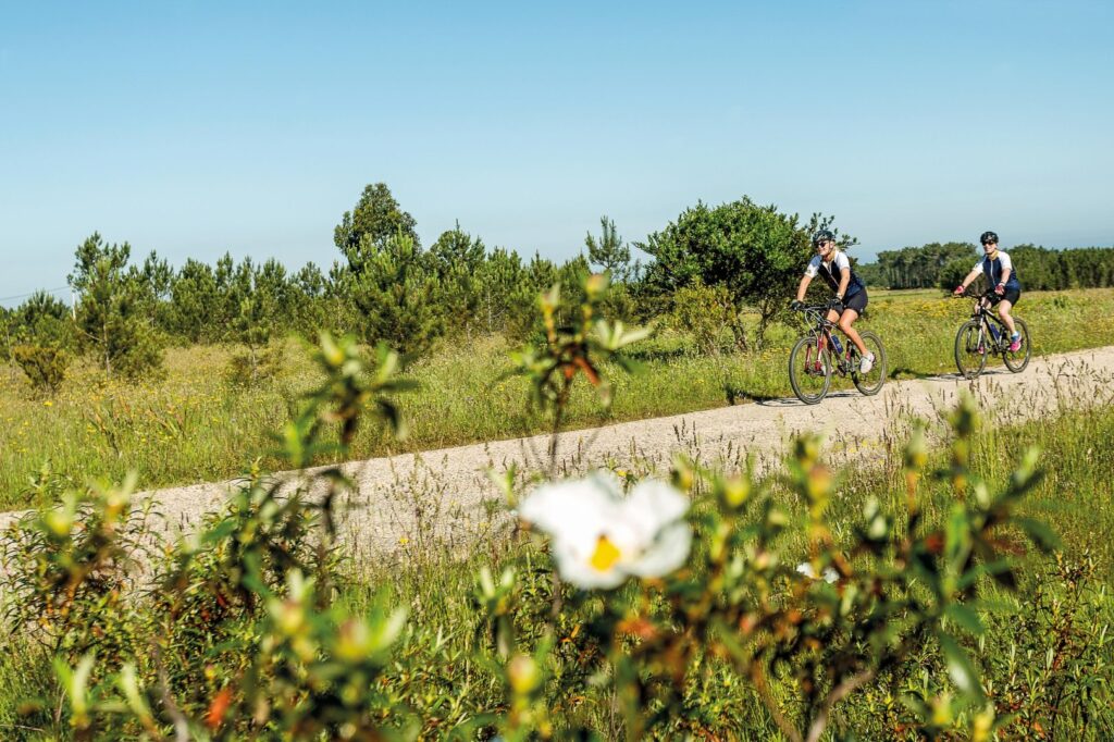 Biker in der Natur