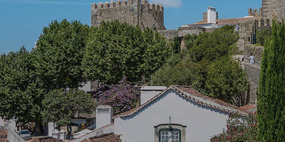 Dächer von Obidos bei Sonnenschein und Bäumen im Hintergrund