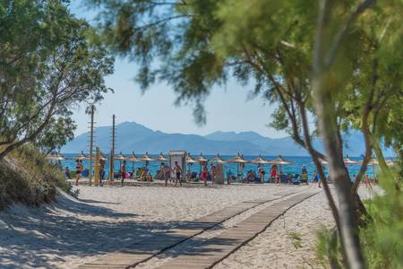 Sandy Beach, sonstige